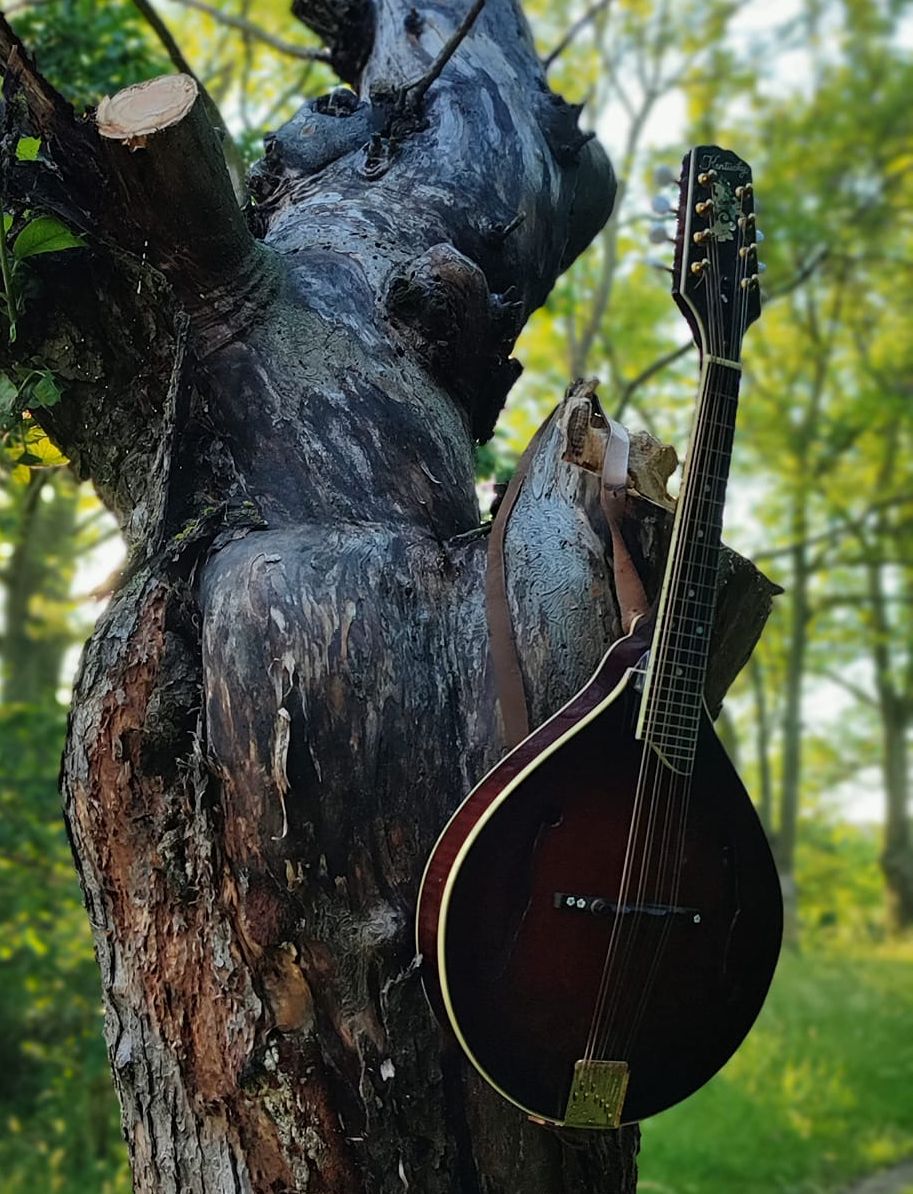 mandolína
