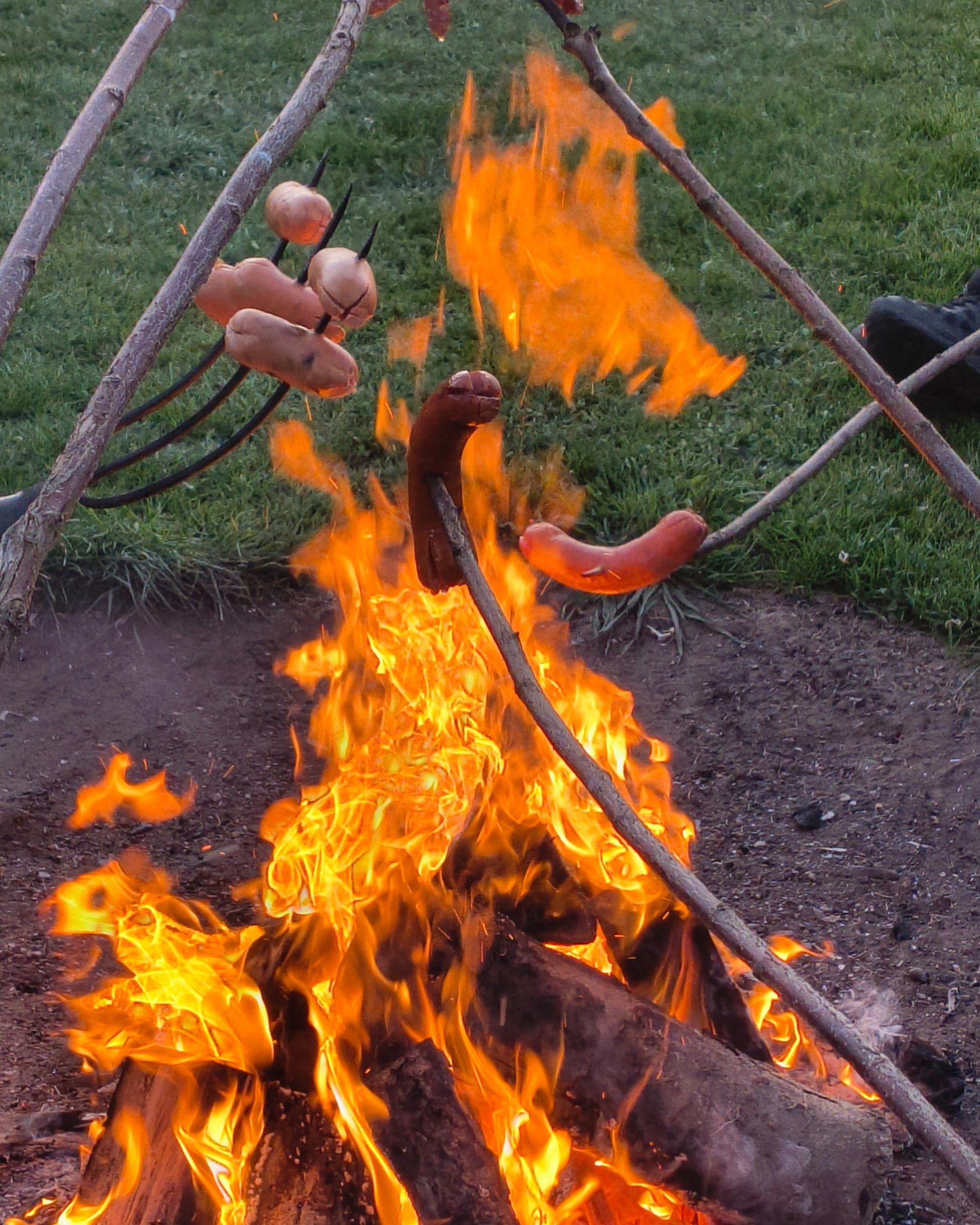 orlice26